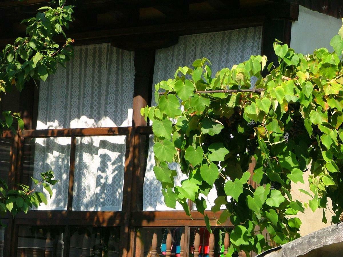 The Tinkov House In Lovech Exteriör bild