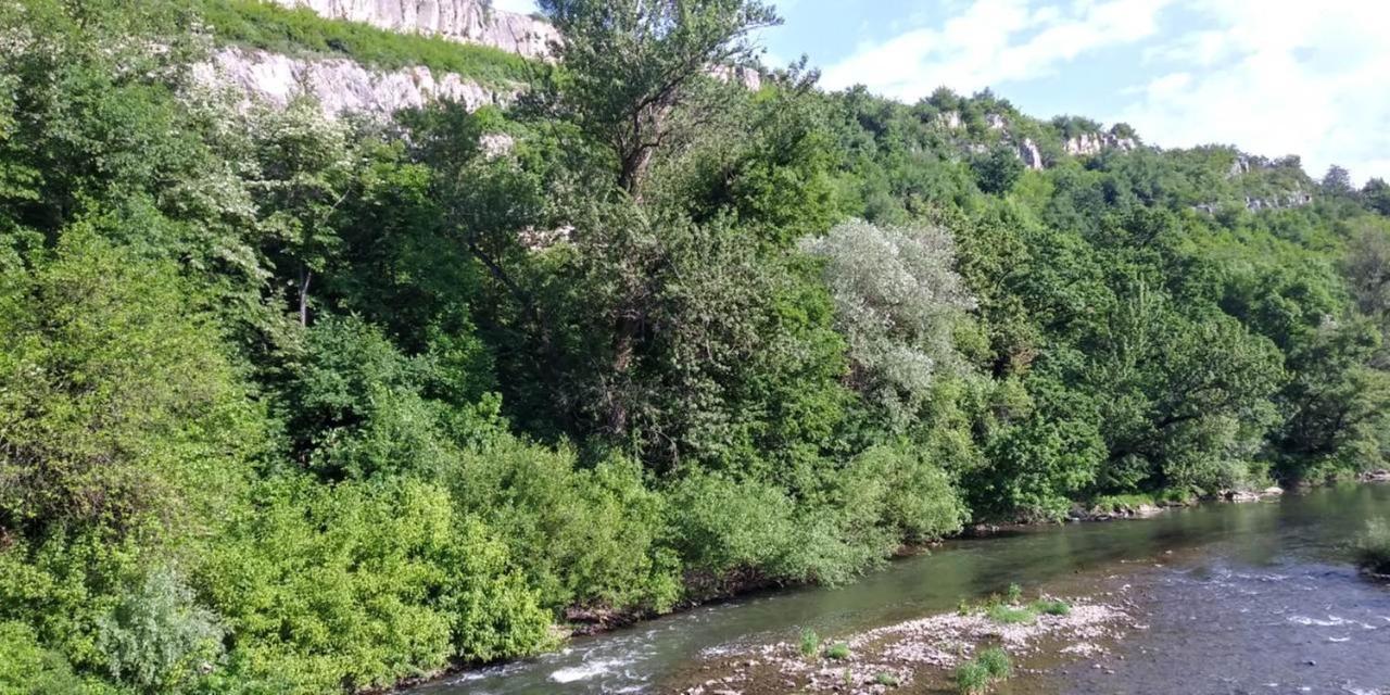 The Tinkov House In Lovech Exteriör bild